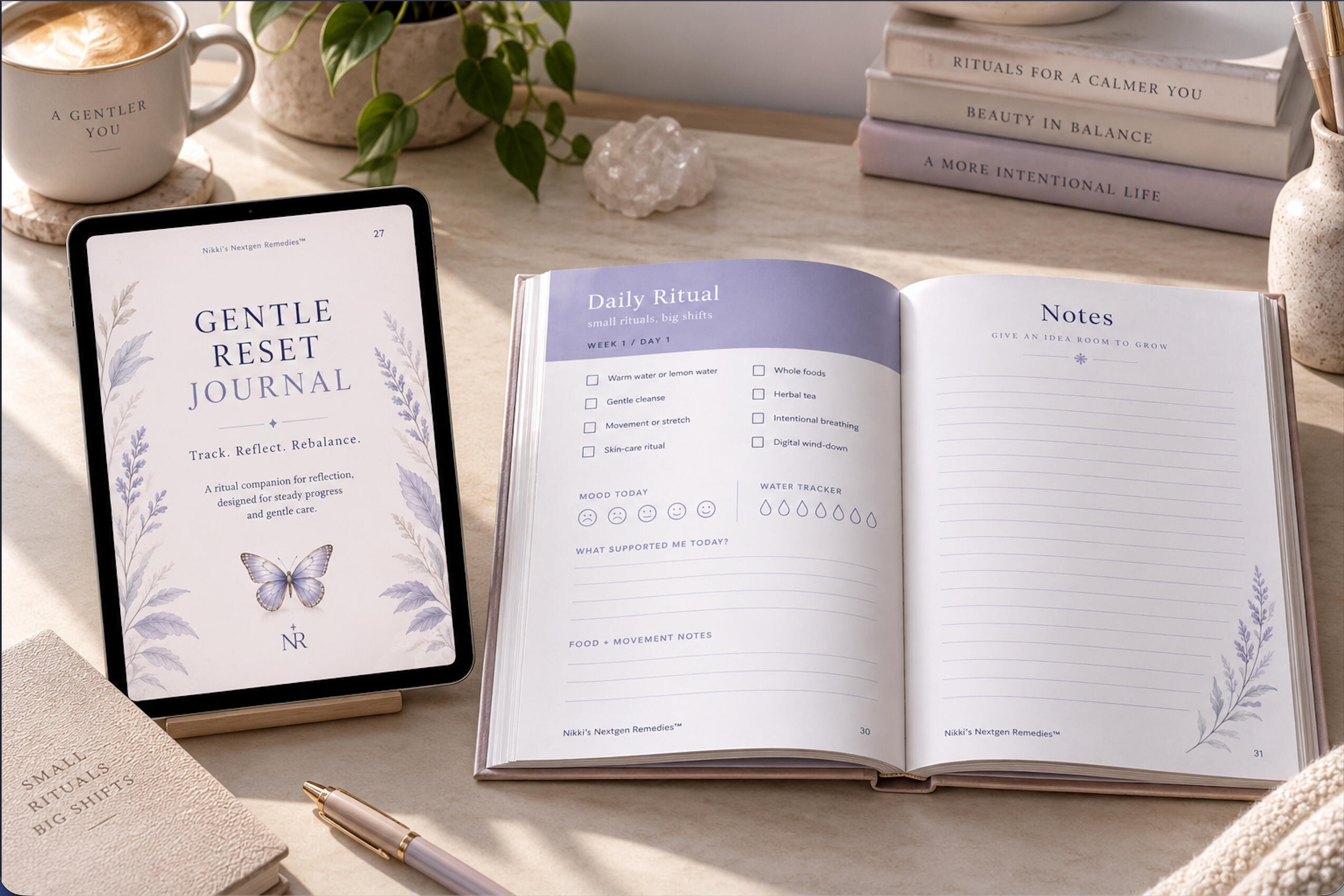 The Reset Guide 11 Gentle Remedies for Daily Reset hardcover book